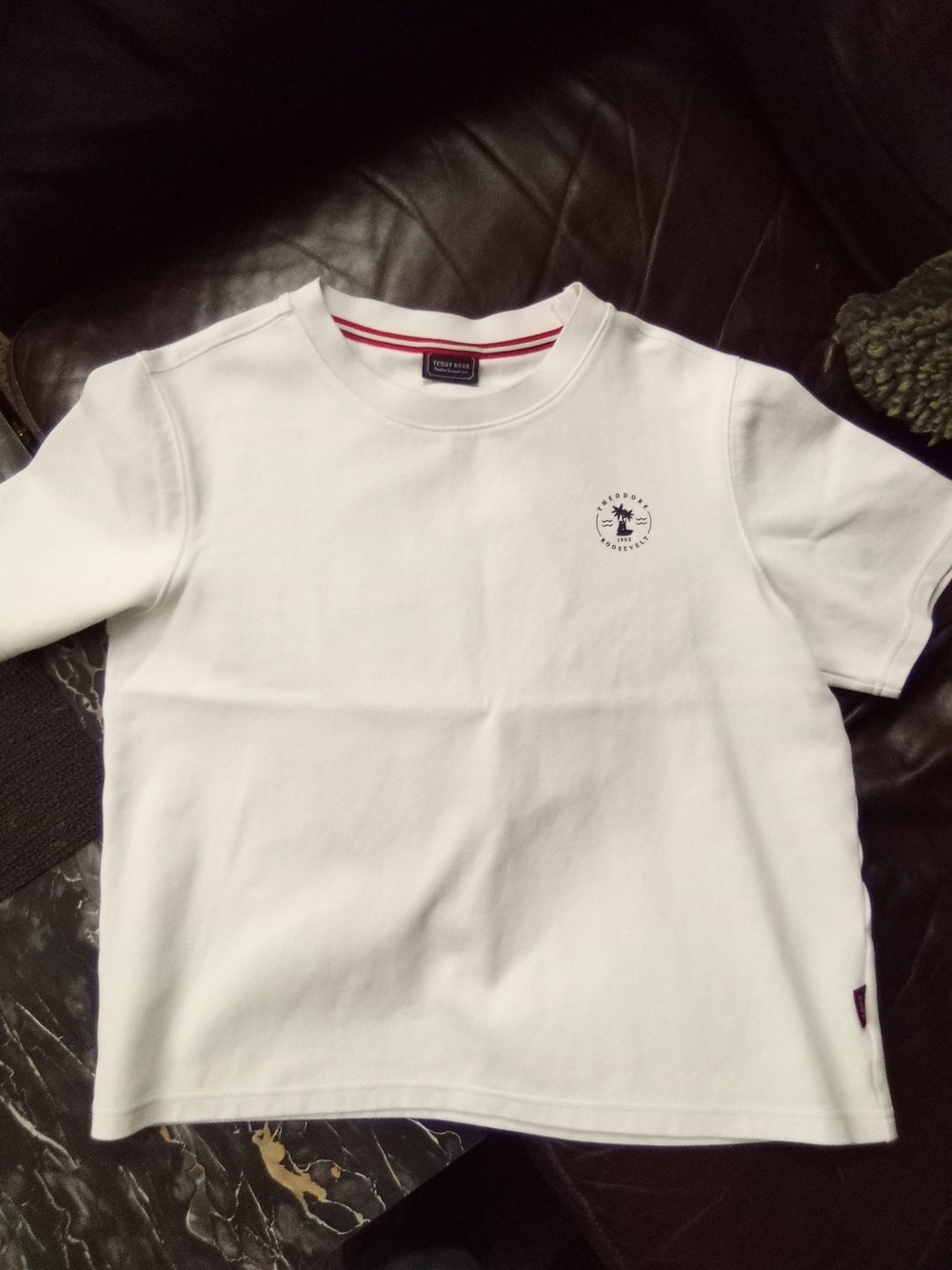 White Short-Sleeve Logo Tee by Theodore Roosevelt